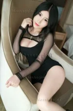 7305686.webp