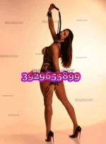 3929655899-1.webp
