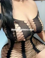 27502671.webp
