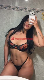 22818865.webp