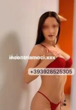 Screenshot 2026-06-23 100416.webp