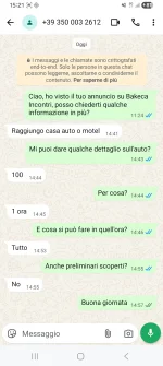 Chat Miele.webp