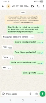 Chat Marika.webp