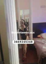 27711861.webp