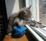 attentialcane.jpg