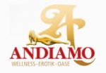 andiamo logo.jpg