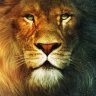 Aslan83