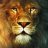 Aslan83