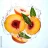 peach devotion