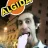 TitoPvllo